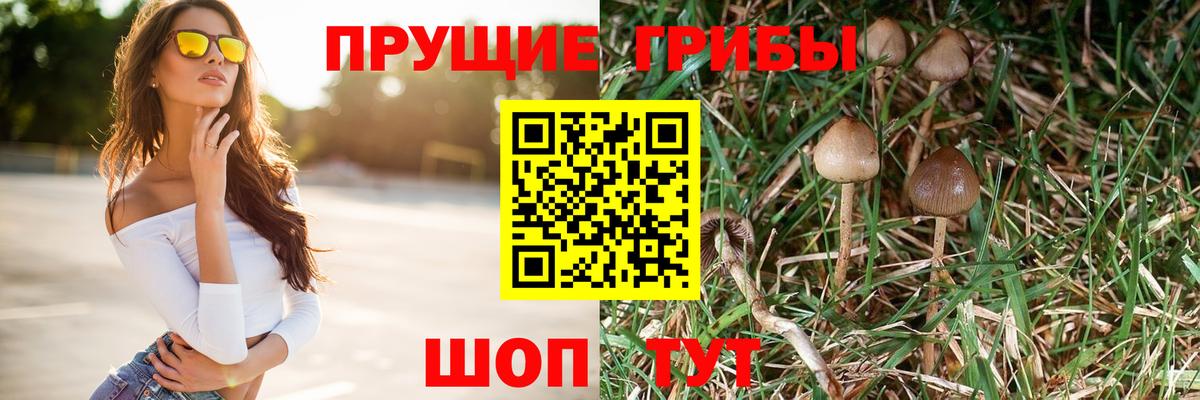 Галлюциногенные грибы Psilocybine cubensis  Вход с VPN  Тимашёвск 