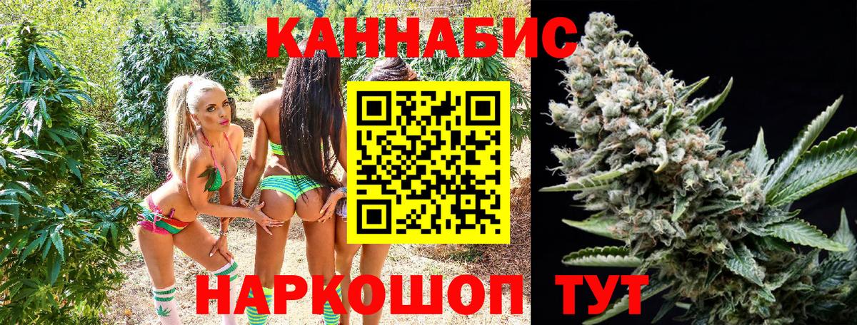 Каннабис конопля Тимашёвск